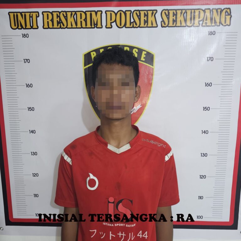 Unit Reskrim Polsek Sekupang Ungkap Kasus Dugaan Persetubuhan Terhadap Anak di Bawah Umur